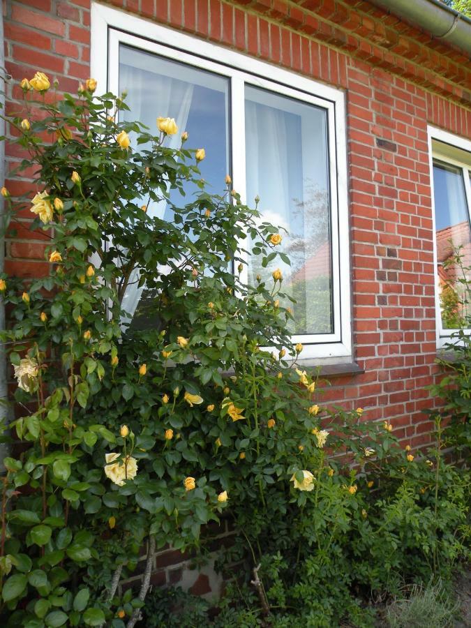 Altes Pastorenhus - Land Und Meer Osterbruch Eksteriør bilde